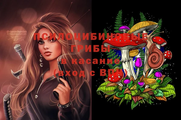 гидропоника Бронницы