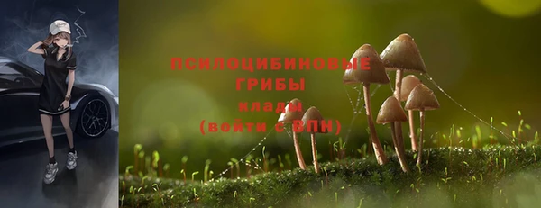 гидропоника Бронницы