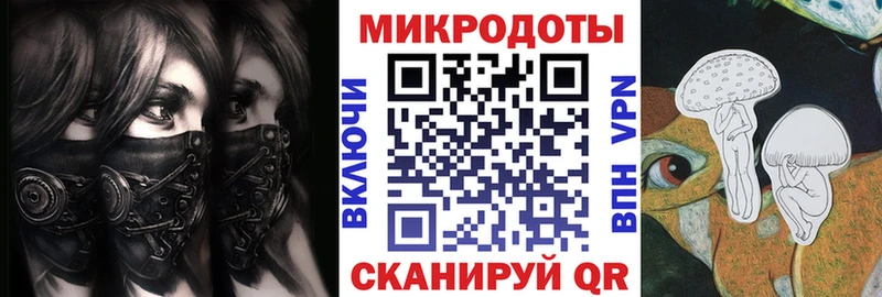 Купить  Сланцы  Галлюциногенные грибы MAGIC MUSHROOMS 